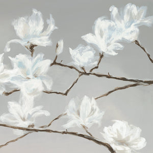 Blossoms of Magnolia II (30x30)